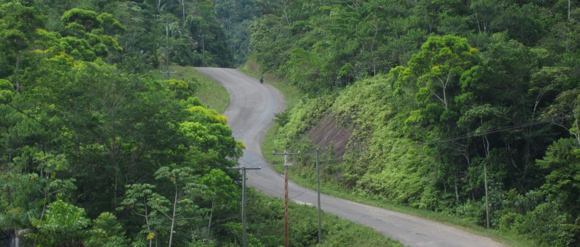 Hummingbird Highway Belize