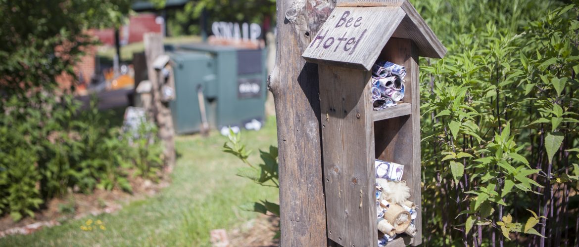 Bee Hotel