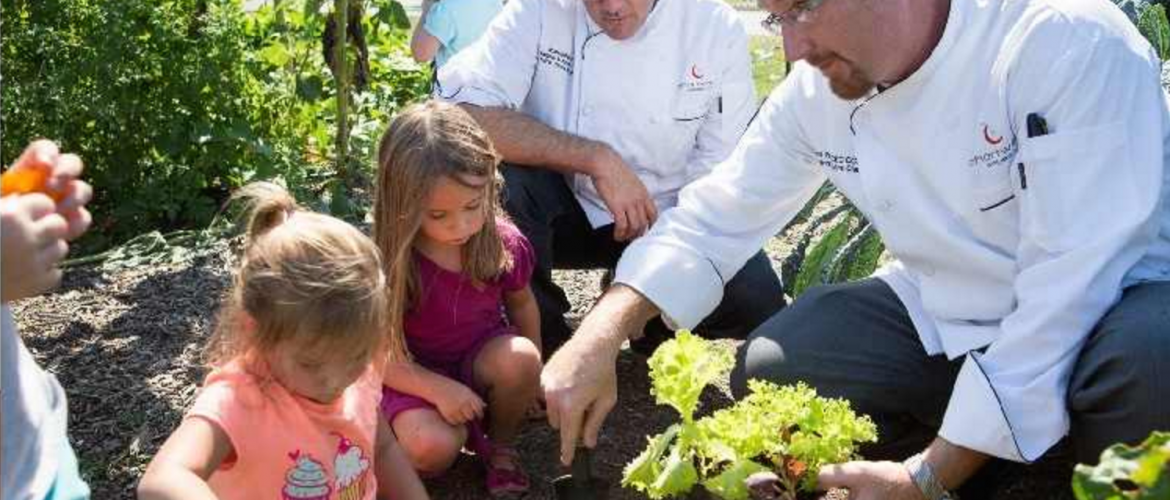 Chartwells School Garden Program